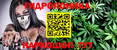 PSILOCYBIN Кунгур