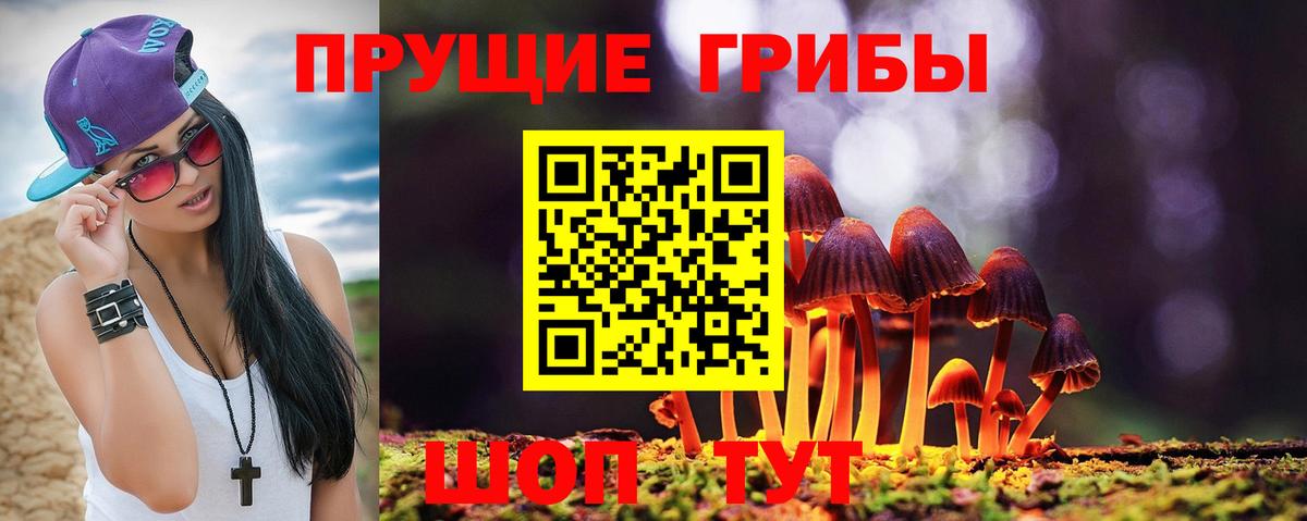 Елабуга  Галлюциногенные грибы мицелий  наркошоп  Вход с VPN 